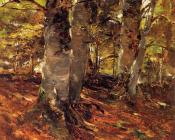 Beachwoods at Polling - 弗兰克·杜韦内克